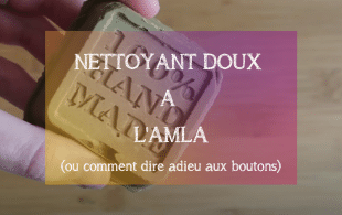 DIY Nettoyant doux à l'Amla | MA PLANETE BEAUTE